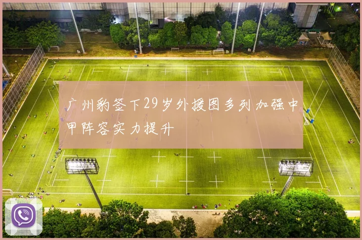 广州豹签下29岁外援图多列加强中甲阵容实力提升
