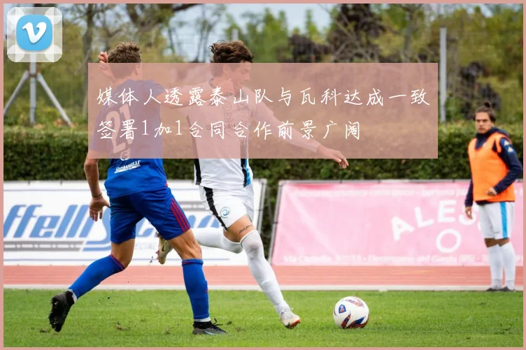 媒体人透露泰山队与瓦科达成一致签署1加1合同合作前景广阔