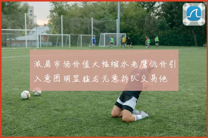浓眉市场价值大幅缩水老鹰低价引入意图明显猛龙无意拆队交易他