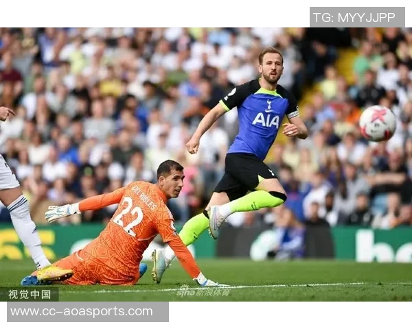 热刺迎战利兹联首发阵容公布西蒙斯特尔库杜斯出战帕利尼亚参赛